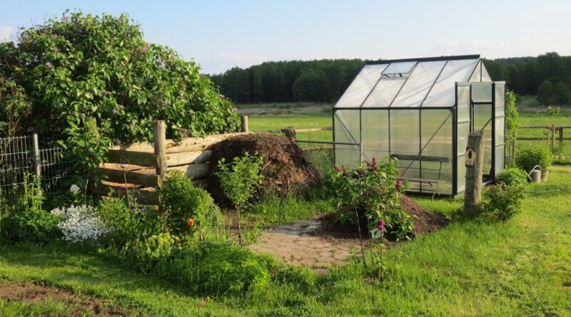 Jak przetrwać upał i pielęgnować ogródek - porady dla ogrodników